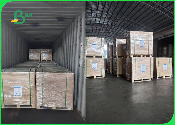 FSC genehmigte Papierrolle Woodfree Weiß 70g 80g für die Broschüre glatt