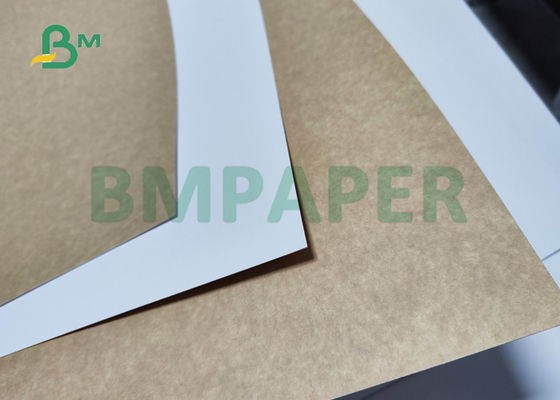 Rückseiten-Brett 14PT 16PT CCKB Kraftpapier für Nahrungsmittelkästen 22inch 27,5 Zoll gute Steifheit