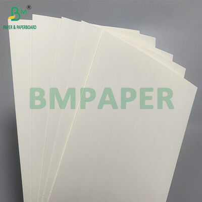 Biologisch abbaubares und Mikrowellensicheres Pappe zur Herstellung von Einwegschüsseln für Salate