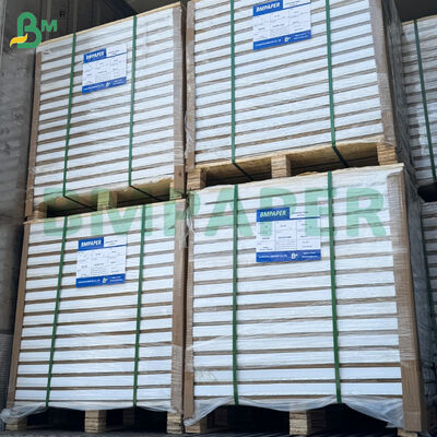 200gsm 300gsm Two Side Coated Glossy / Matte Art Paper Sheets