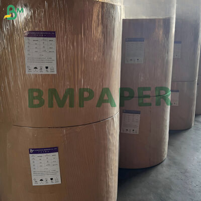 170 g/m² 190 g/m² wasserbasierter, einseitig gestrichener Becherkarton, kompostierbar, 650 mm