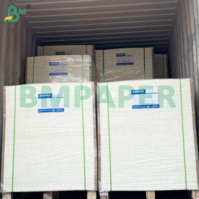 350 g/m² + 15 g/m² PE-beschichtete Schalenpapierrollen für Lebensmittelbehälter