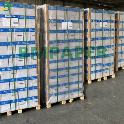 Vorkollationierte leere Sätze für den Druck von Formularen, klares Duplikatkopierpapier
