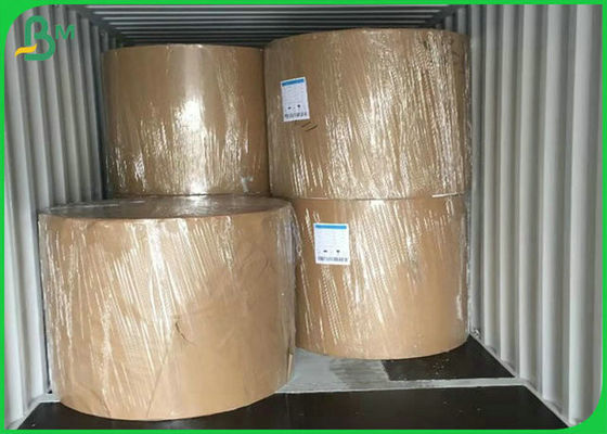 Umweltfreundliches Material 300G PET gestrichenes Papier für die Herstellung der Brotdose
